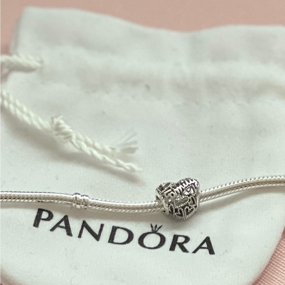 Pandora Family Heart Charm - Picture 7 of 16